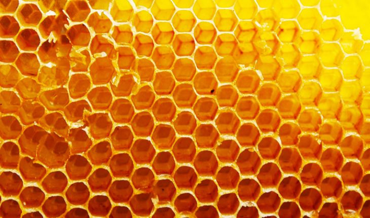 as-sweet-as-manuka-honey-the-hippocratic-post