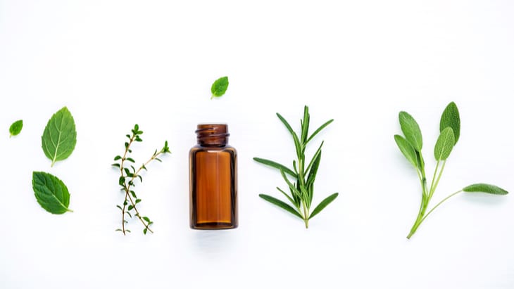 Homeopathy in general practice - The Hippocratic Post