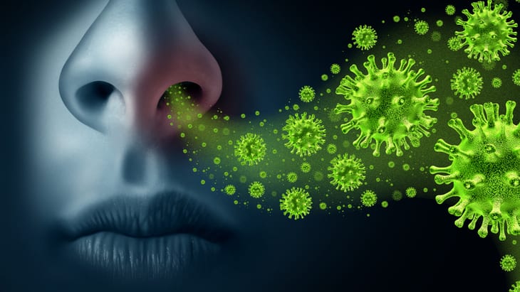 Bacteria-fighting cells may boost infection risk from respiratory