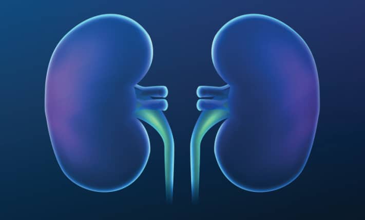 Minority ethnic communities face greater kidney health risks