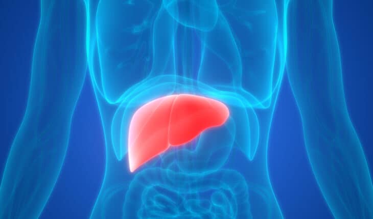 testing-strategy-for-chronic-liver-disease-the-hippocratic-post