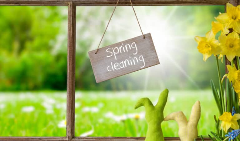 Spring Clean Your Mental Health - The Hippocratic Post